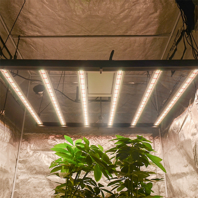 激光植物补∏光灯跟LED植物补光灯哪个效果会好些？(图1)